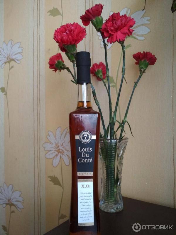 Выбираем рыбку к пиву: все нюансы в одном месте