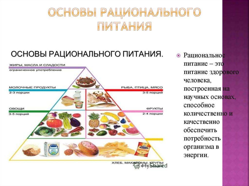 Схема питания человека