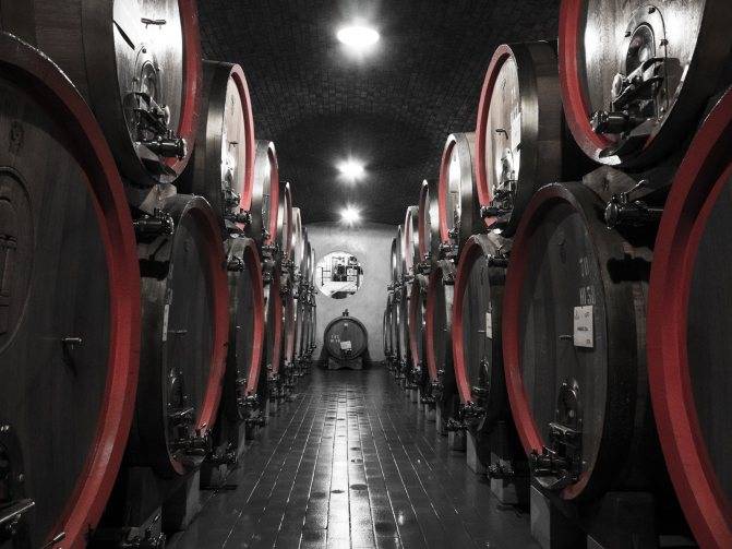 Вина вальполичелла: история, обзор, из чего делают, виды