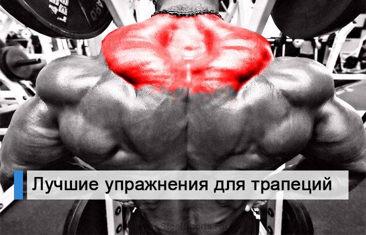 Как накачать трапеции: стандартные методики и секретные упражнения