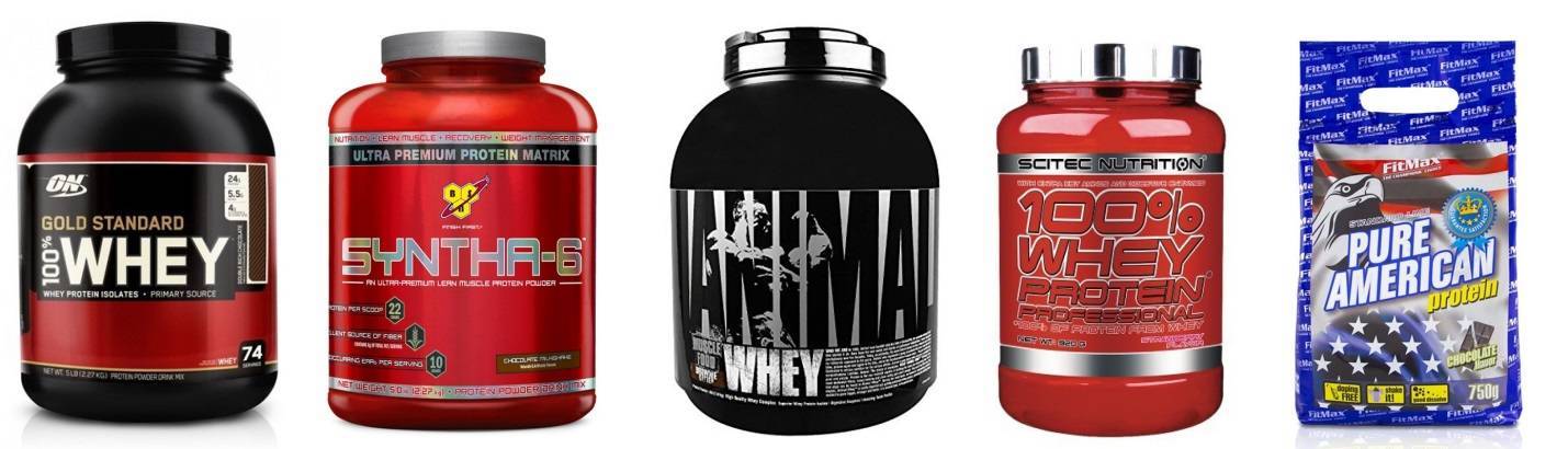 Какой протеин лучше для начинающих