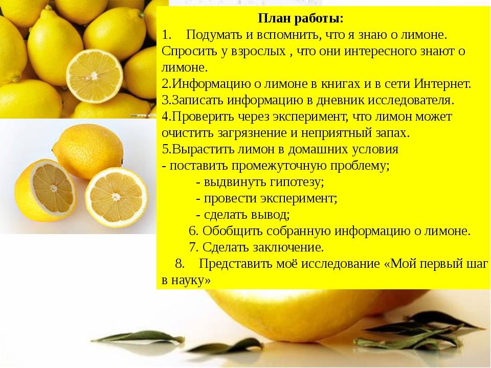 Лимон польза и вред для здоровья. Полезные свойства лимона. Лимон полезные вещества. Лимон для презентации. Польза лимона.