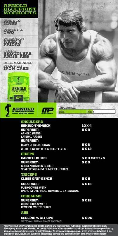 Биография арнольда шварценеггера — легенды спорта и кино