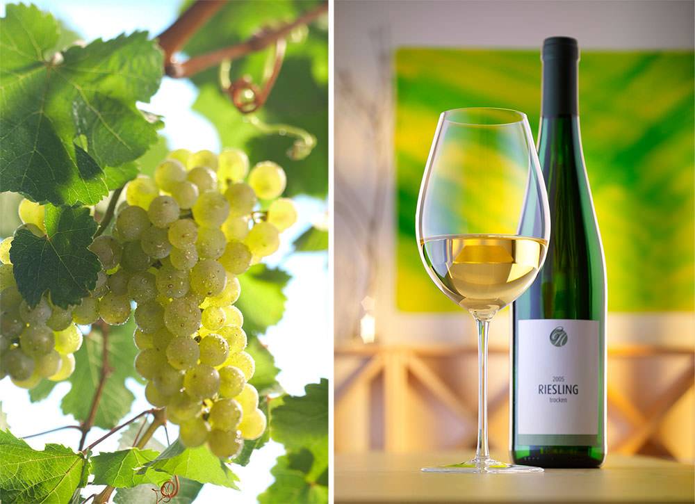 Виноград рислинг и одноименное немецкое вино, особенности сорта