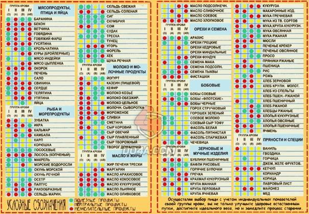Диета по группе крови: таблица продуктов и примеры меню для 1, 2, 3 и 4 групп