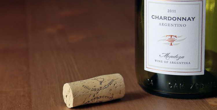 Вино шардоне: описание, производители, правила потребления.