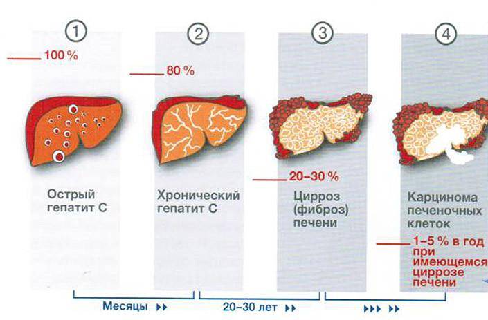 Пищевая сода: польза и вред для организма, применение - семейная клиника опора г. екатеринбург