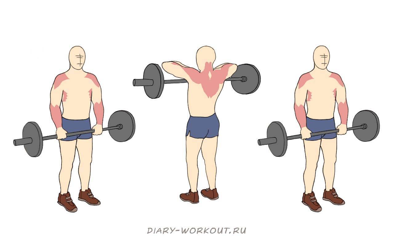 Шраги с гантелями: техника выполнения упражнения, какие мышцы работают