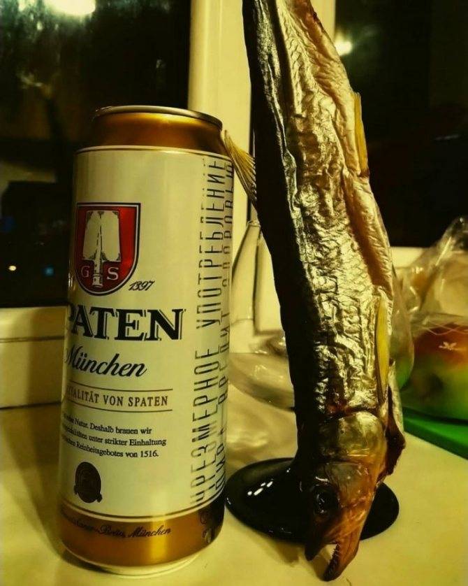 Пиво францисканер: обзор вкуса и видов