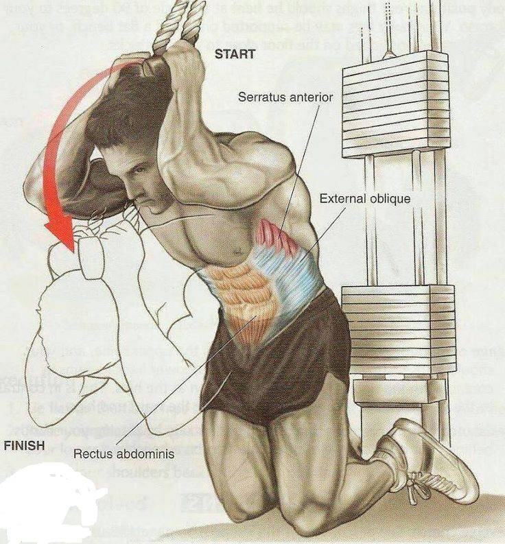 Видео - качаем пресс: сгибание туловища на верхнем блоке
