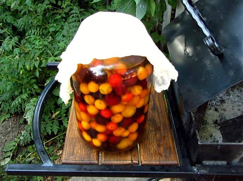 Вино из алычи с косточками в домашних условиях - пошаговый рецепт