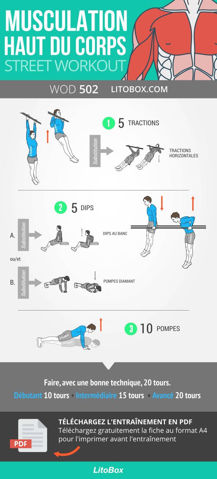Калистеника — лучшие упражнения и программа тренировок
