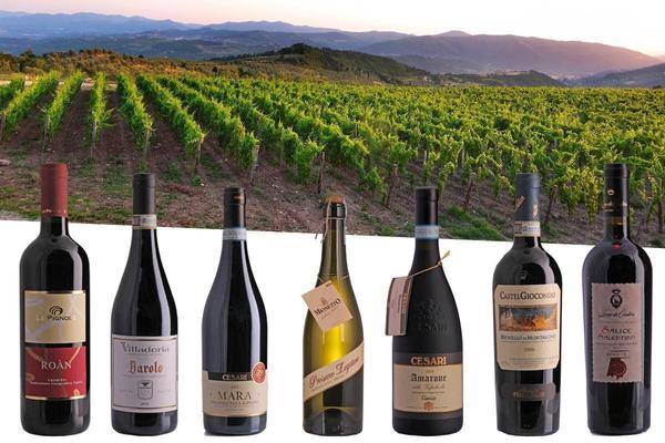 Китайское вино: история, где делают, технологии  + популярные марки