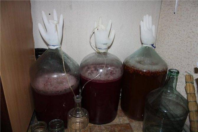 Настойка из алычи: 5 рецептов в домашних условиях