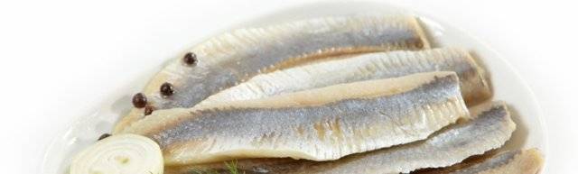 Польза и вред селедки для организма человека | польза и вред