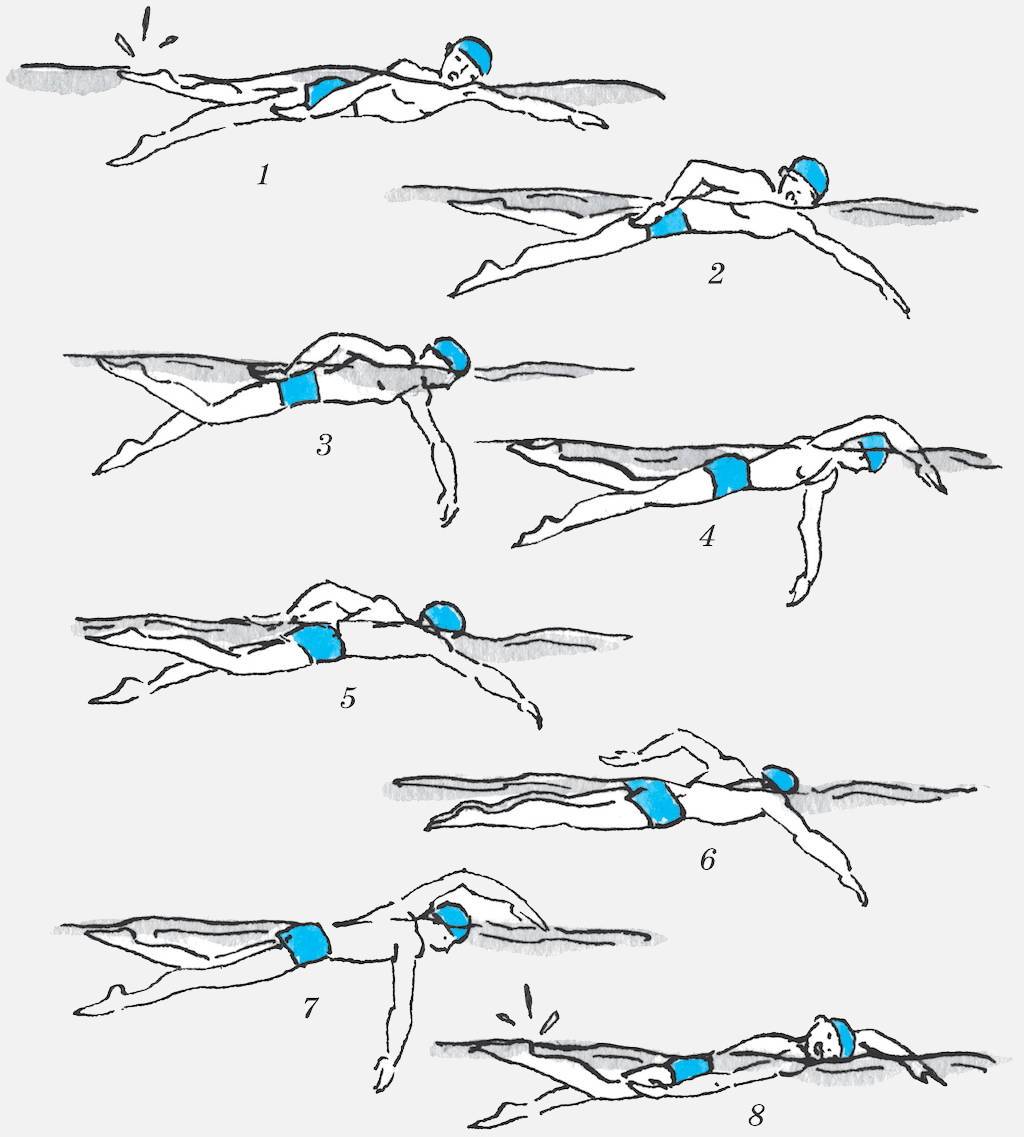 Техника плавания кролем