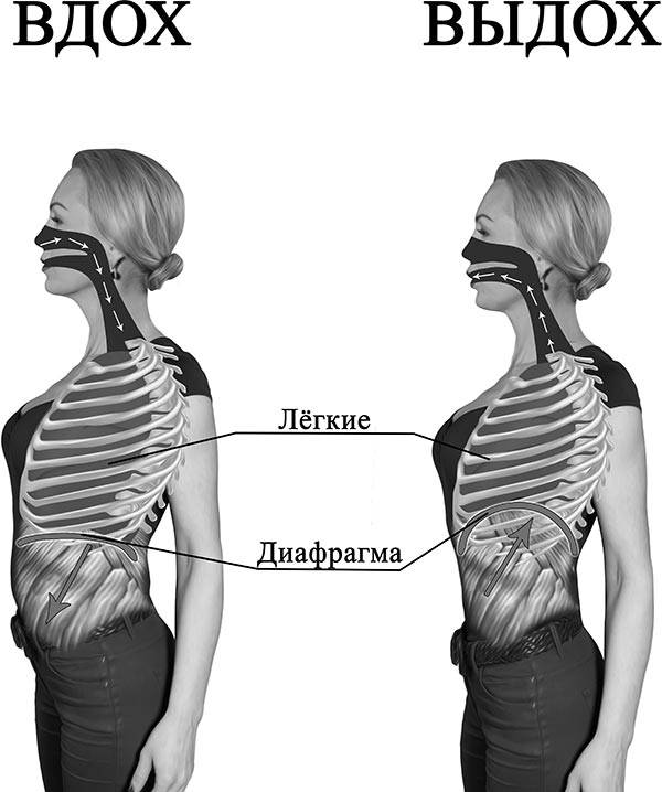 Как правильно дышать для улучшения здоровья - medical insider