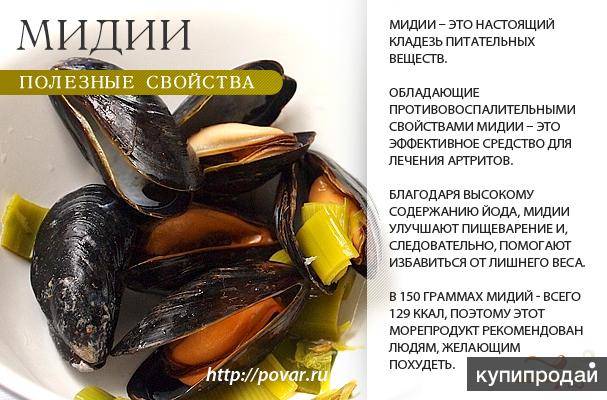 Устрицы: польза и вред для организма