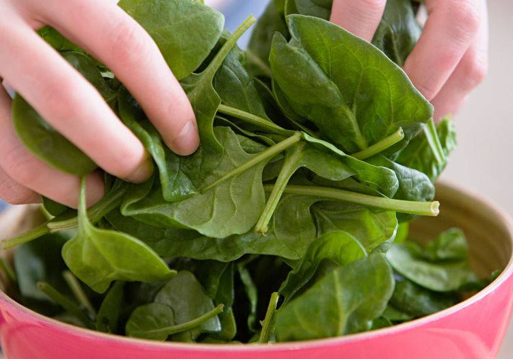 Шпинат польза и вред для здоровья мужчин и женщин