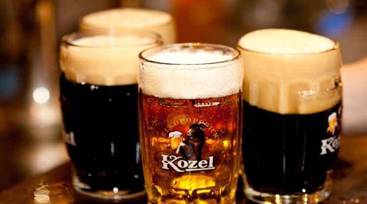 Велкопоповицкий козел: где производится, виды и крепость напитка