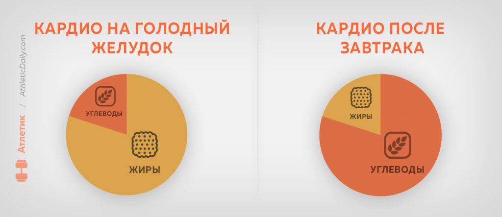 Что есть после кардиотренировки для похудения: питание и диета, через сколько можно принимать еду, как питаться при кардио