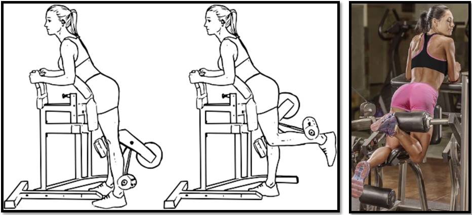 Сгибание ног в тренажере сидя: техника выполнения, какие мышцы работают
