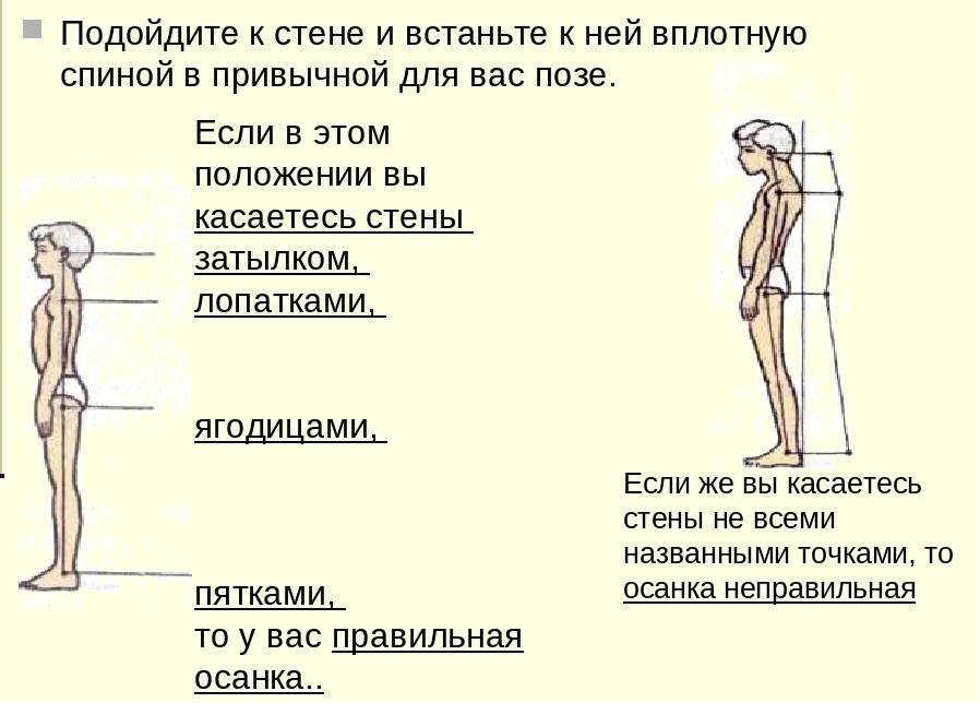 Как избавиться от сутулости в домашних условиях (5 простых способов исправить осанку)
