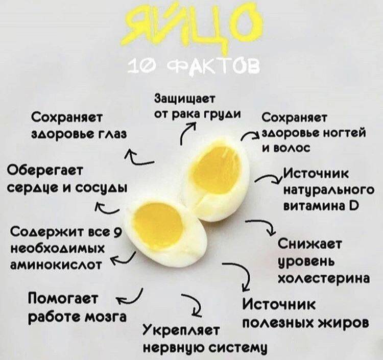 Куриные яйца: польза и вред