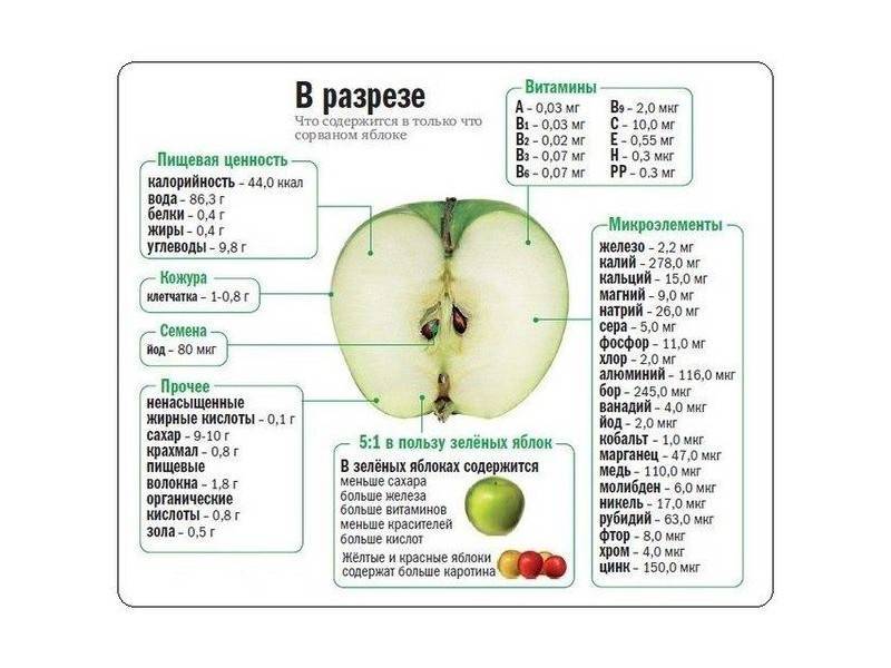 Сколько калорий в яблоке зеленом, красном и голден?