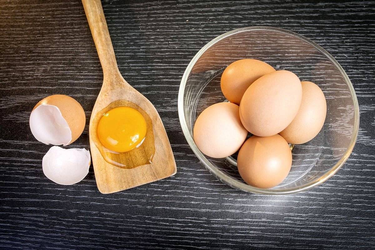 Яйцо куриное польза и вред для здоровья организма женщин, мужчин