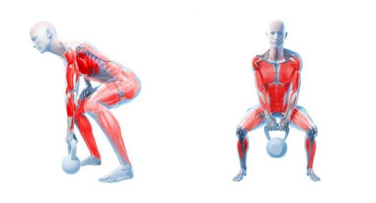 Толчок гири: техника выполнения, какие мышцы работают, что развивает?