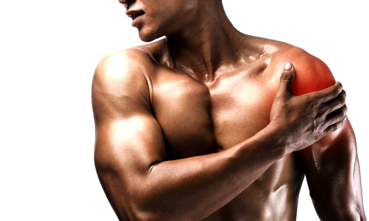 Зожник | почему болят мышцы после тренировки?