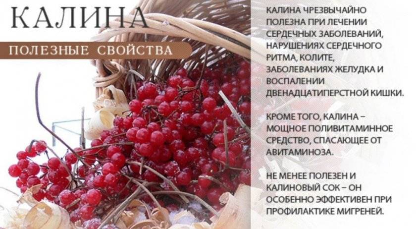 Польза и вред кисломолочных продуктов – 8 фактов об их влиянии на здоровье организма взрослого человека