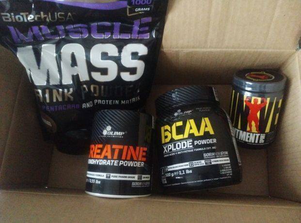 Гейнер или протеин: что лучше пить для новичка, отличие и состав