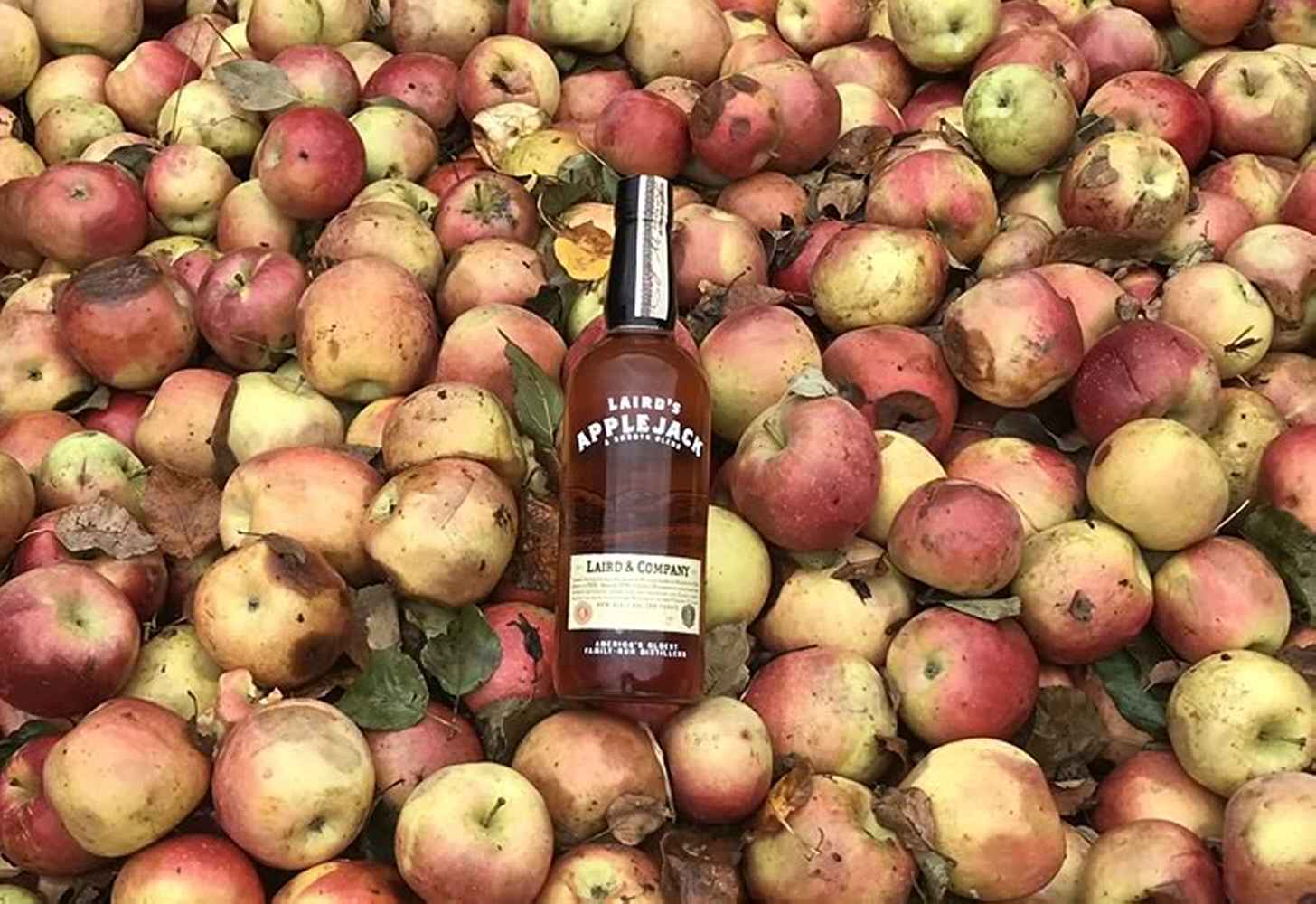 Гайд по ipa: что нужно знать о самом популярном стиле крафтового пива — pivo.by