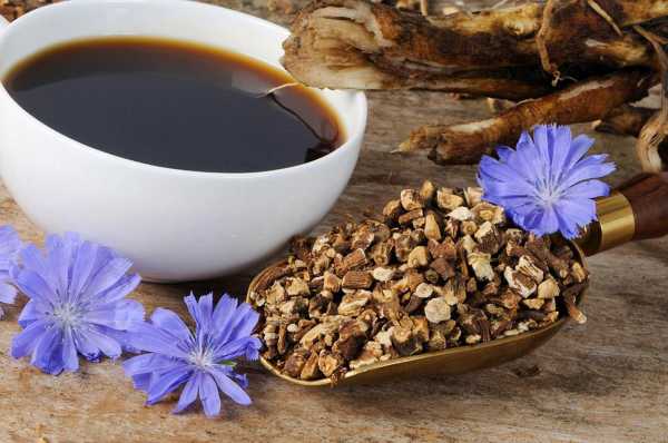 Кофе или цикорий: что полезнее, вкусовые качества, влияние на организм, польза и вред, отзывы | кулинарный портал