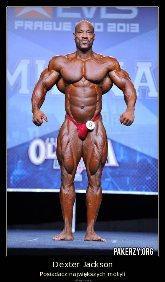 Декстер джексон: как живет победитель олимпии- 2008. бодибилдер декстер джексон: программа тренировок, антропометрические данные