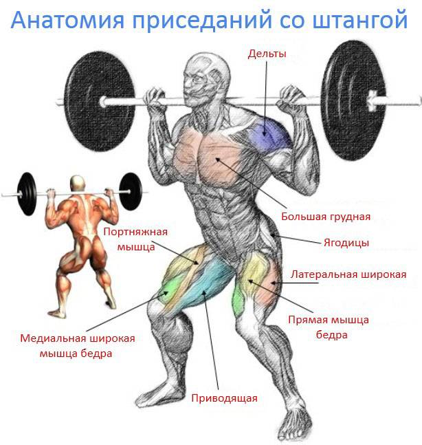 Выпады со штангой на плечах: техника выполнения