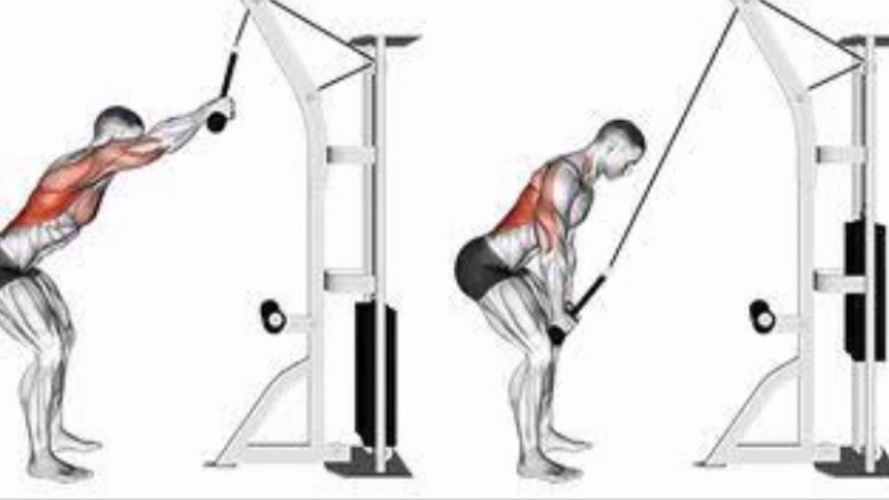 Тяга верхнего блока к грудной клетке широким и узким хватом и вариант тяги за голову
