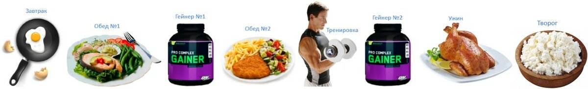 Лучшее спортивное питание для набора мышечной массы мужчинам и женщинам
