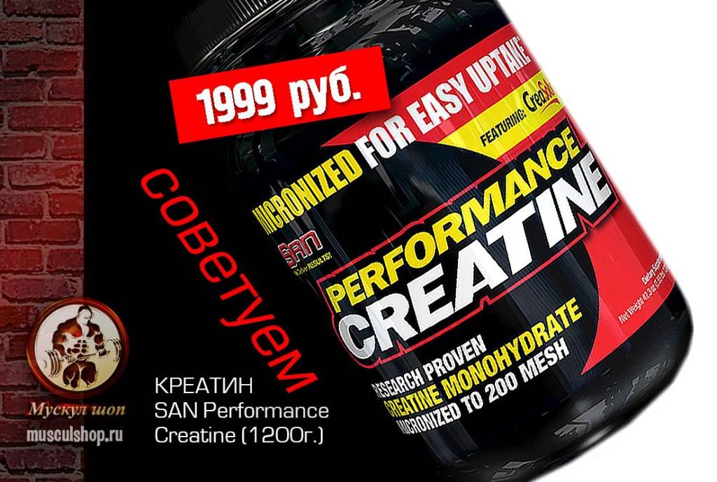 Creatine powder от optimum nutrition: как принимать, отзывы, эффект от приема