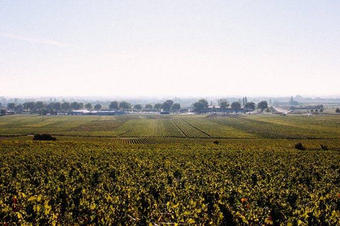 Вина болгарии: история, особенности, классификация, лучшие вина