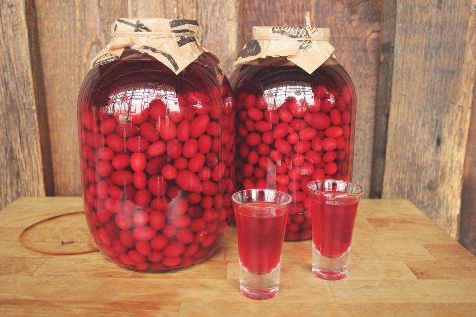 Как сделать наливку из кизила в домашних условиях – 3 рецепта