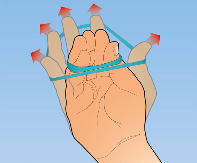 Как сделать запястья шире и сильнее: 11 шагов