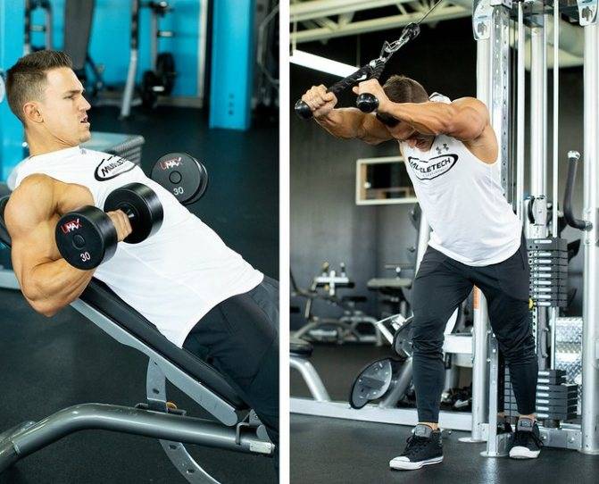 Лучшая тренировка рук: специализированная программа прокачки бицепса и трицепса на массу и рельеф в тренажерном зале для мужчин