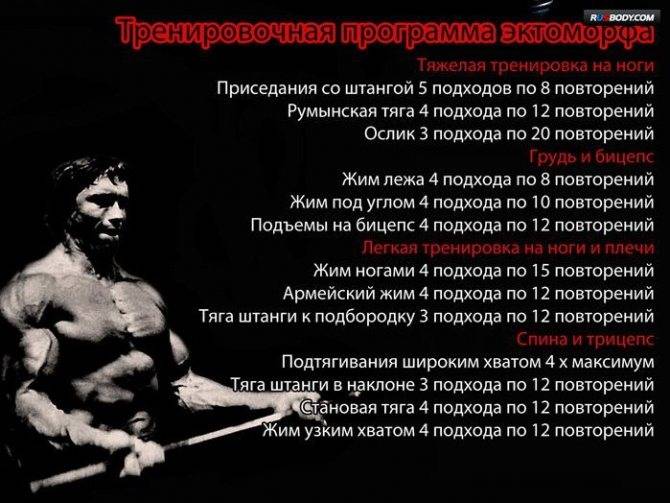 Программа тренировок для мезоморфа: на массу, рельеф или силу