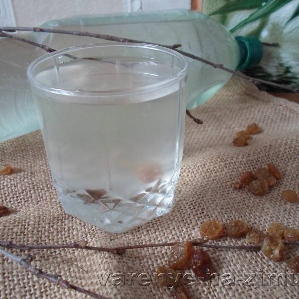 Как приготовить абрикосовое вино в домашних условиях