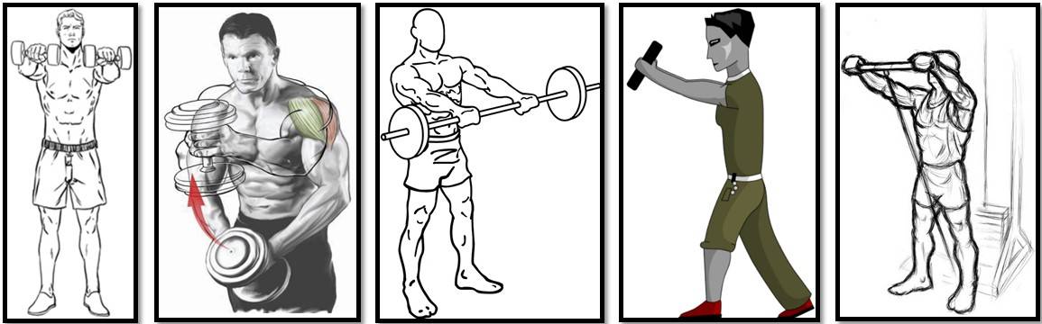 Подъем гантелей через стороны