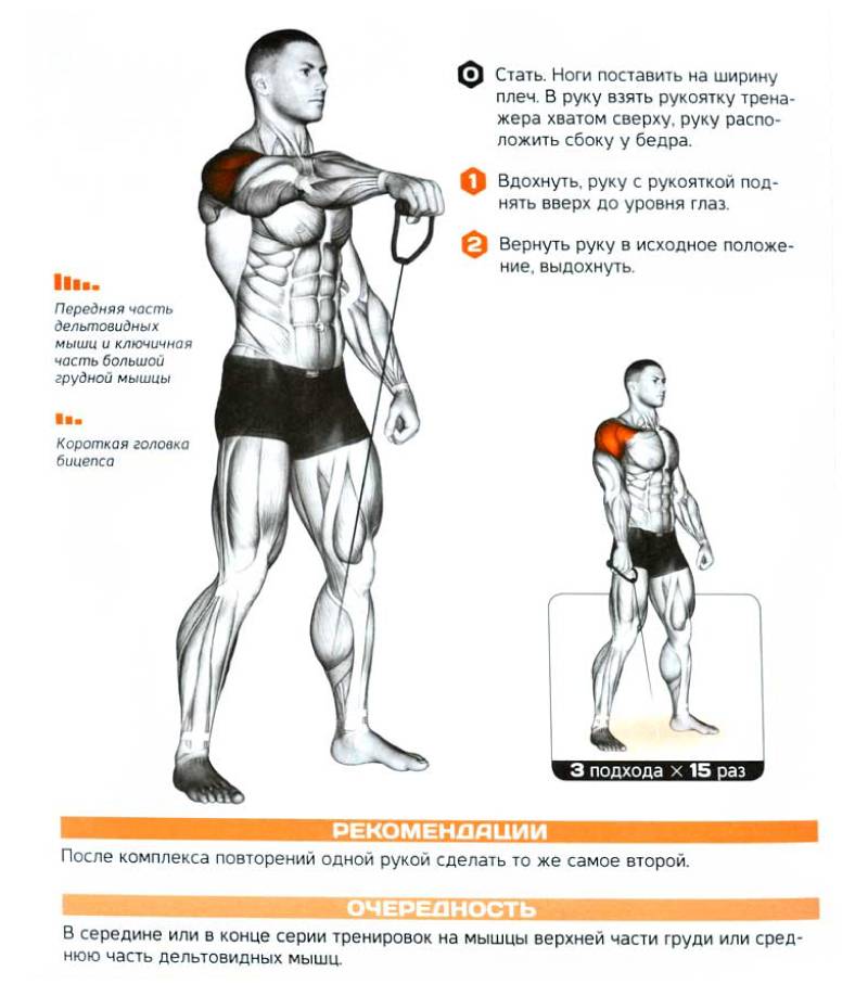 Жим гантелей сидя: техника выполнения, работающие мышцы, ошибки