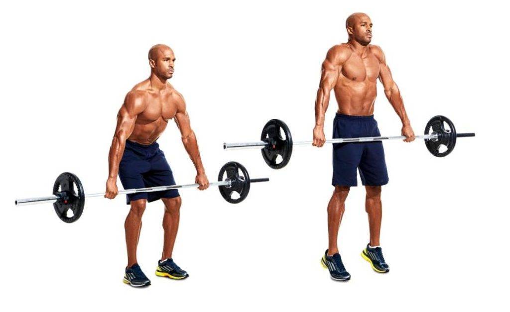 Лучшие упражнения для трапеции. прокачай себя